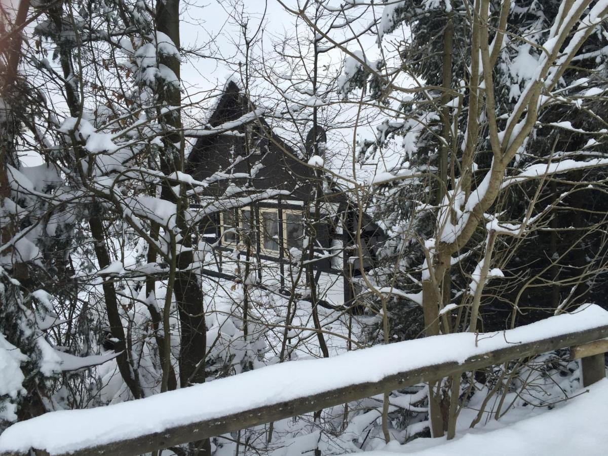 Ferienhaus Sauerlandtraum Winterberg Bagian luar foto