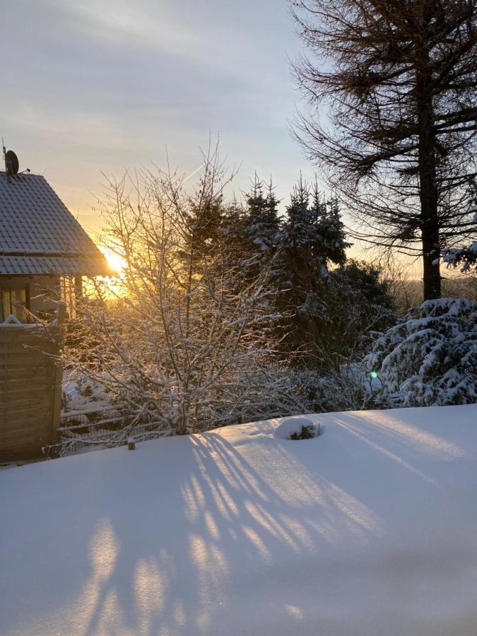 Ferienhaus Sauerlandtraum Winterberg Bagian luar foto