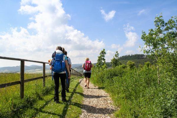 Ferienhaus Sauerlandtraum Winterberg Bagian luar foto