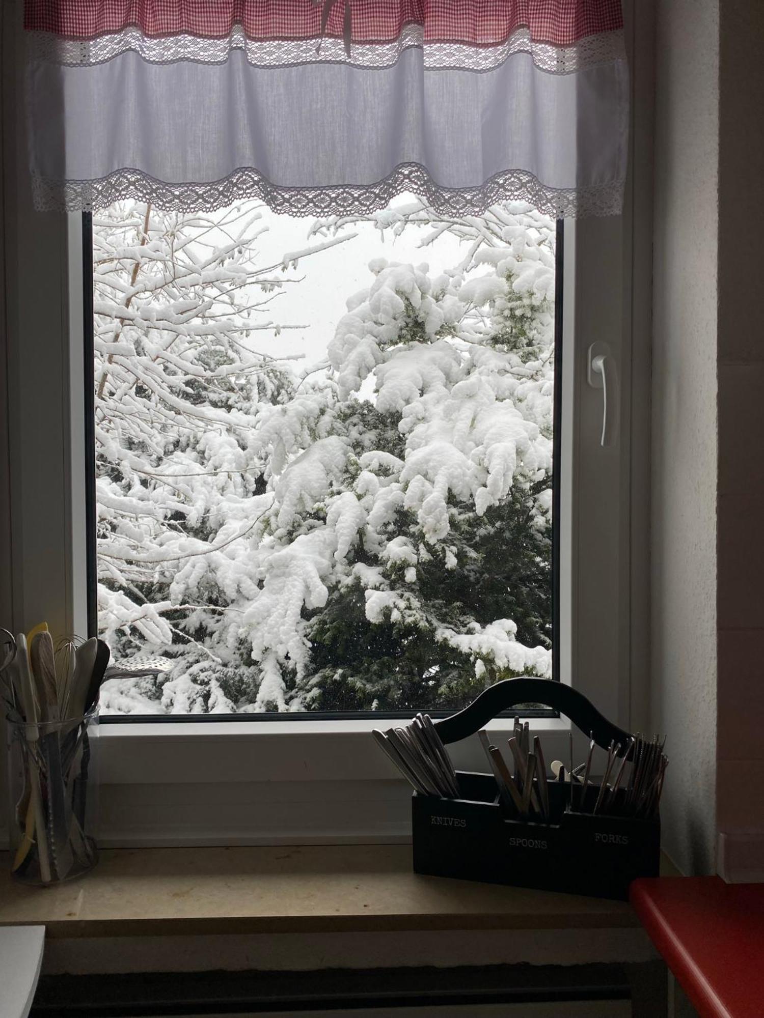 Ferienhaus Sauerlandtraum Winterberg Bagian luar foto
